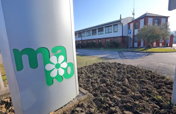 V koprski Marjetici se obeta stavka, morda pa tudi razre&scaron;itev direktorja