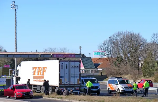 V hladilnem tovornem delu  se je do meje z Italijo pripeljalo šest 
ilegalnih prebežnikov, pet Pakistancev in mladoletni Afganistanec. 