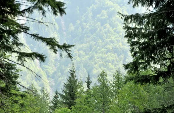 Fotografija je simbolična.
