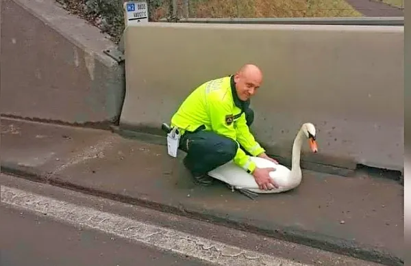 Policisti so re&scaron;evali laboda s cest