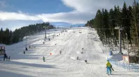 Smučišče Jasa na Rogli bo eden od poligonov za delo  marčevskega 
tretjega kongresa SPE Balkan ski.