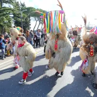 Koper so zasedle maske