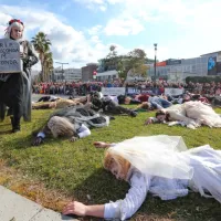Koper so zasedle maske