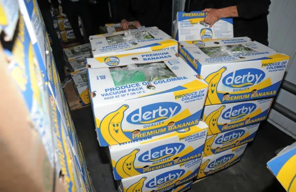 Pri Skopju so v škatlah Derby banan odkrili kilogram  kokaina, 
večjo pošiljko te droge pa naj bi ustavili v drugi državi. 