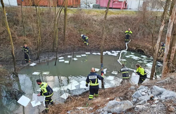 V ponikalnico so položili lovilna črevesa in pivnike.