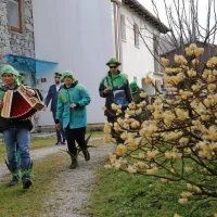 Skozi robido in br&scaron;ljan do zmage