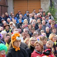Skozi robido in br&scaron;ljan do zmage