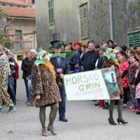 Skozi robido in br&scaron;ljan do zmage