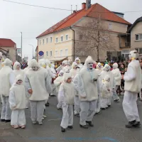 Sovič, pastirček Jakob in podzemni svet navdihnili postojnski pust