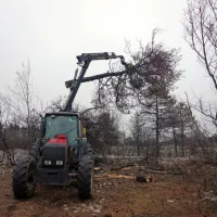  Gozdni delavci v zadnjih dneh čistijo približno hektar pogorišča.  