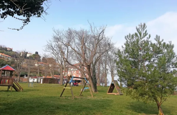 Fiesa je priljubljena tudi zaradi številnih dreves in zelenic, zato so 
domačini občutljivi na vsak človeški poseg. 