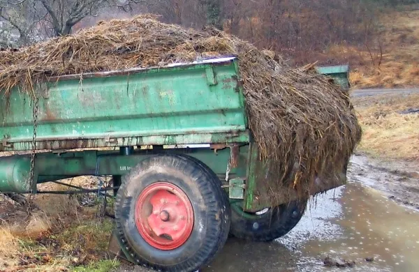 Fotografija je simbolična.