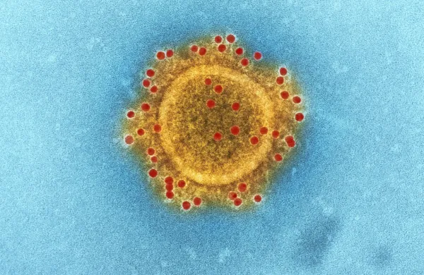 Novi koronavirus je v Italiji zahteval že več kot 100 smrtnih žrtev, 
več kot 3000 ljudi pa se je z njim okužilo. 