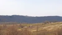 Na tem 184.425 kvadratnih metrov velikem zemljišču pred Pučami 
bo izbrani zakupnik Massimo Rojac uredil trajni oljčnik.
