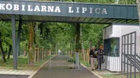 Tudi v Lipici zaradi koronavirusa beležijo nekaj odpovedi.
