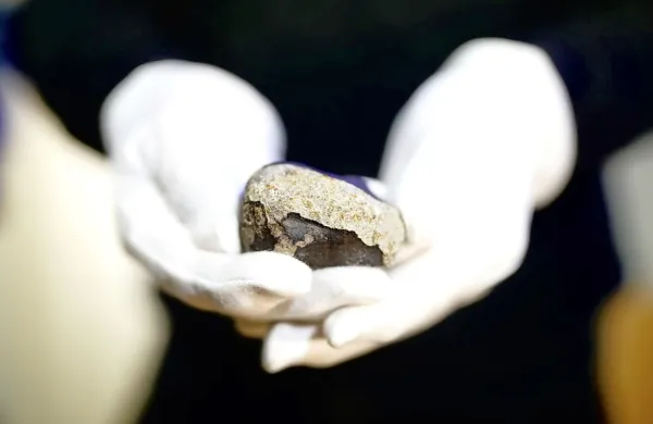 Po prvem (na fotografiji) so našli  še drugi kos meteorita Novo mesto.

