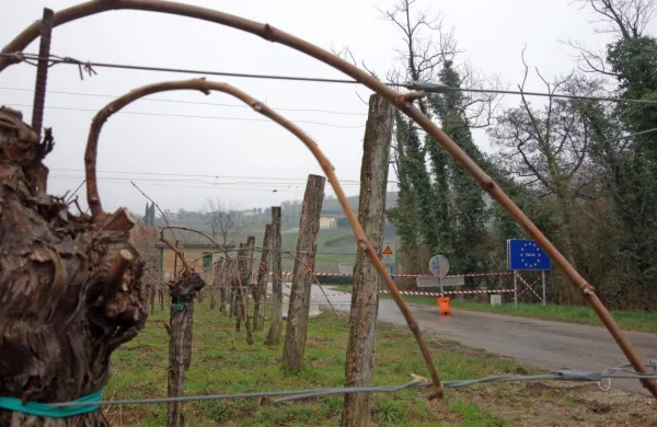 Dvolastniki v Brdih si želijo čimprej izvedeti,  na kakšen način bodo 
lahko dostopali do svojih vinogradov na italijanski strani meje.