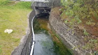 Direkcija za vode in VGP Drava bosta skupaj z občino in Marjetico  
očistila in uredila strugo hudournika. 