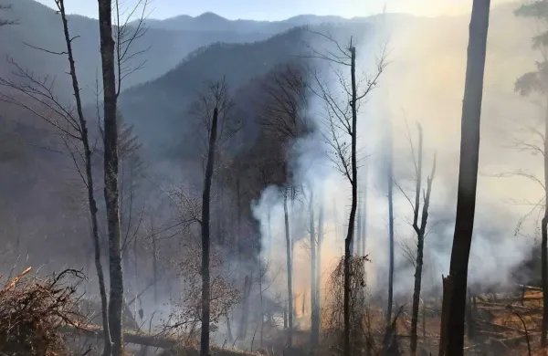 Iskra je ogenj zanesla na travnik in v gozd.