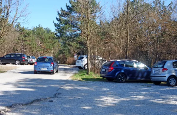 Parkirišče ob cesti, ki vodi k Pomniku miru na  Cerju,  je ob vikendih 
še vedno polno.  