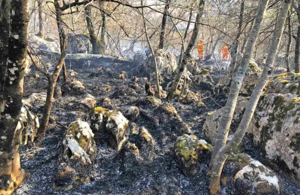 V petek so gasilci gasili požar v bližini Lokve. 
