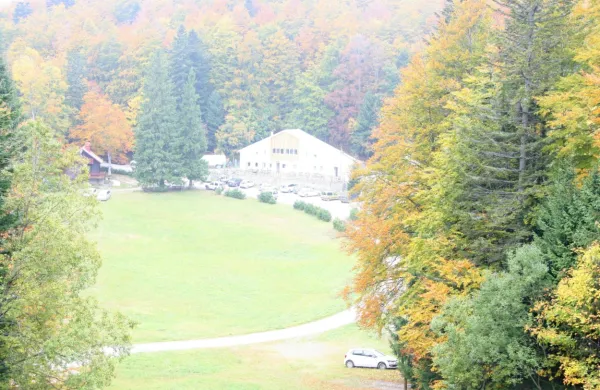 Občina Ilirska Bistrica išče investitorje, ki bi  na Sviščakih zgradili 
manjši hotel  z depandanso in štirimi bungalovi,  enajst počitniških 
hišk, na robu  jase  pa manjši plavalni ribnik.