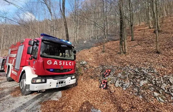 V torek je zgorel hektar listja v gozdu nad Malim Poljem.
