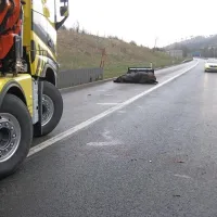 Tovornjak je prevažal 30 glav govedi, ena žival je poginila.