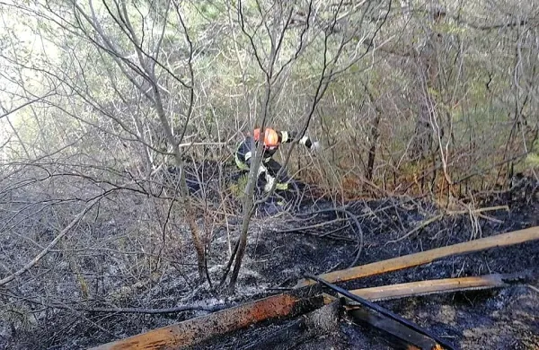 Gasilci so minuli konec tedna spet gasili požare v naravi.