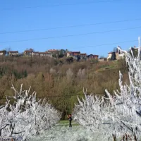 Pozeba je vzela sadje