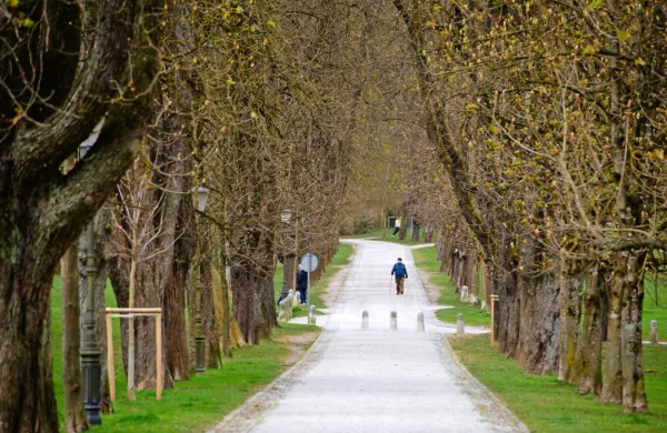 Policija bo konec tedna preverjala spo&scaron;tovanje prepovedi gibanja in zbiranja na javnih povr&scaron;inah