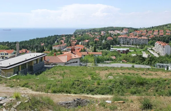 Kulturno in družabno življenje bo letos v Ankaranu okleščeno, saj 
bo občina morala varčevati na vsakem koraku.
