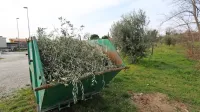 Marjetica Koper je zaradi epidemije predčasno sklenila akcijo  
brezplačnega prevzema in odvoza zelenega reza.