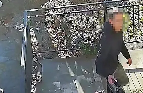 Po objavi fotografij storilca so policisti prijeli 37-letnika iz 
Ljubljane.