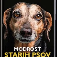 Elli H. Radinger: $@   
Modrost starih 
psov, 
prevedla  
Petra Piber, 
Mladinska knjiga, 
320 strani, 
cena: 24,99 evra 