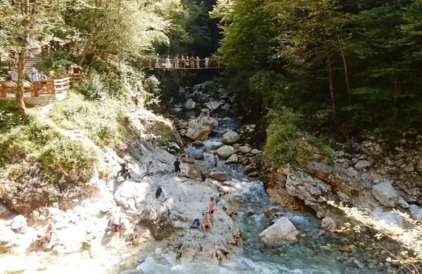 Če bi gostje poleti spet prišli, bi vsaj delno rešili sezono. Fotografija je iz lanske sezone.  