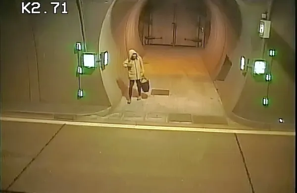 Poleg divjakov so imeli policisti konec prejšnjega tedna na 
primorski avtocesti opravka še s tremi pešci.