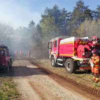 Z ognjem se je spopadlo 64 gasilcev iz gasilskih društev Senožeče, 
Komen, Sežana, Štjak, Povir in sežanskega zavoda za gasilno in 
reševalno službo, ki so se na kraj pripeljali s 17 vozili.