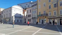 Nakupovanje  je iz družabnega preraslo v povsem funkcionalno 
početje. Spremenilo se je tudi obnašanje med nakupovanjem, 
vrste so pogosto zelo dolge, pa četudi čaka le nekaj kupcev, kot je 
to pred piransko lekarno. 