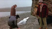 Z naplavljenim truplom “brezmadežne” Laure Palmer se začne prvi del Twin Peaksa.