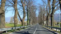 S prenovo glavne prometnice skozi Vipavo do večje varnosti za 
ranljivejše udeležence v prometu. 