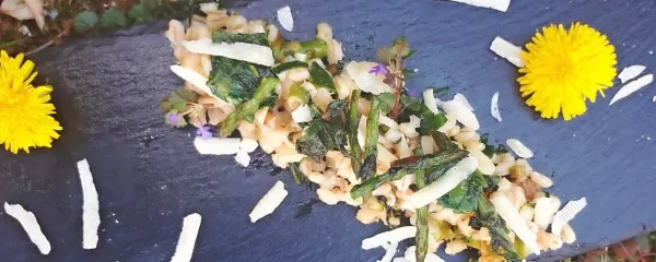 Recept: Je&scaron;prenj z divjimi travami