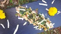 Recept: Je&scaron;prenj z divjimi travami