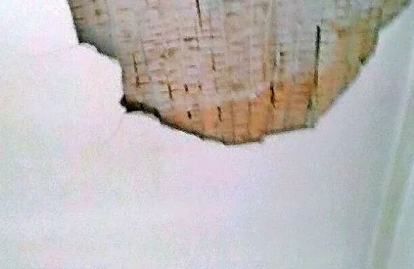 Fotografija je simbolična.