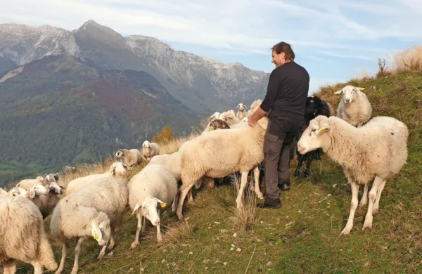 Milan Kalčič z društvenim tropom na Kuku, kjer je v tem času 
zaradi suše prava puščava. 