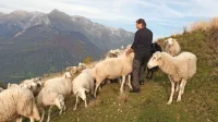 Milan Kalčič z društvenim tropom na Kuku, kjer je v tem času 
zaradi suše prava puščava. 