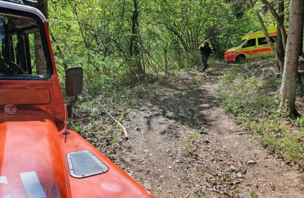 Poškodovanega 79-letnika so iz gozda z reševalnim vozilom 
odpeljali v Postojno, od tam pa s helikopterjem v ljubljanski 
klinični center.  