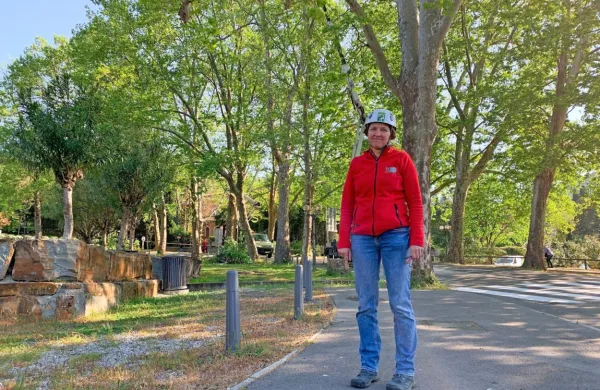 Zdravje portoroških platan je preverila arboristka dr. Lena Marion 
iz ljubljanskega podjetja Tisa.