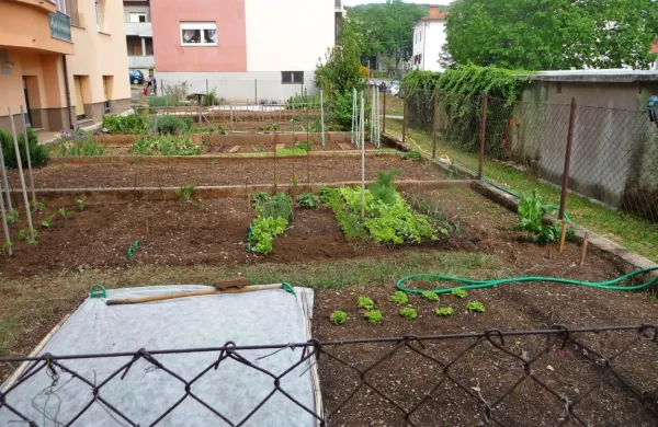 V Sežani bodo krajani lahko od občine najeli še več obdelovalnih 
površin za vrtičke, kjer bodo lahko poenoteno uredili vrtičke. 