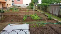 V Sežani bodo krajani lahko od občine najeli še več obdelovalnih 
površin za vrtičke, kjer bodo lahko poenoteno uredili vrtičke. 